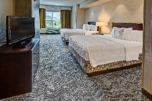springhill suites by marriott new bern