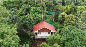munnar