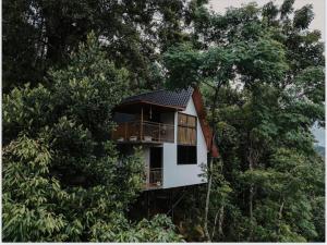 munnar