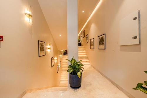 saltstayz autograph connaught place