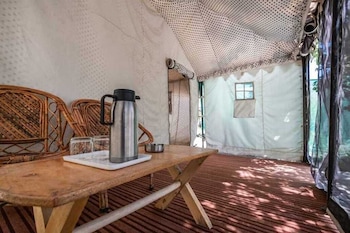 camp norling stars koyul