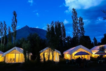 camp norling stars koyul