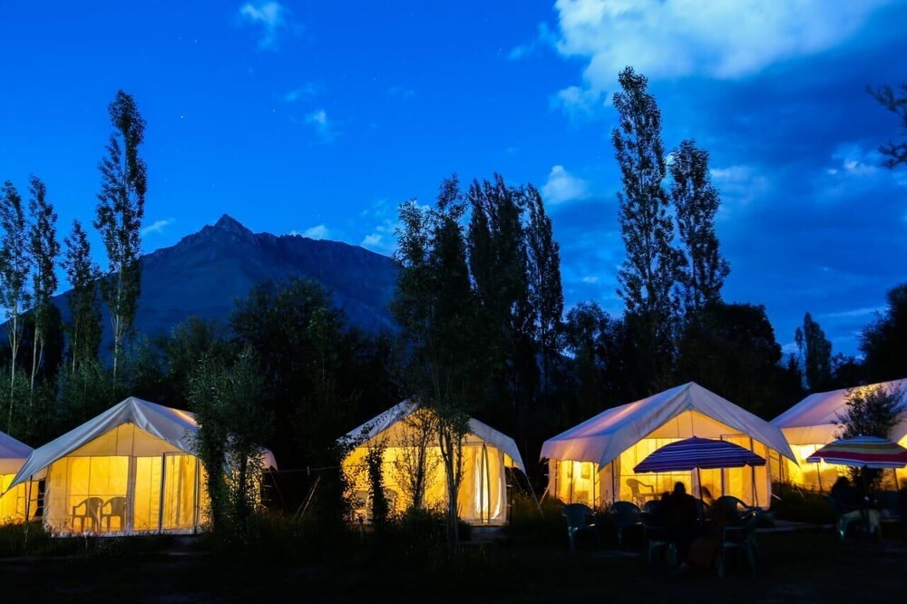 camp norling stars koyul