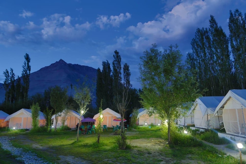 camp norling stars koyul