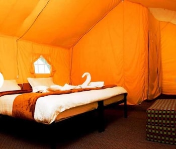 camp norling stars koyul