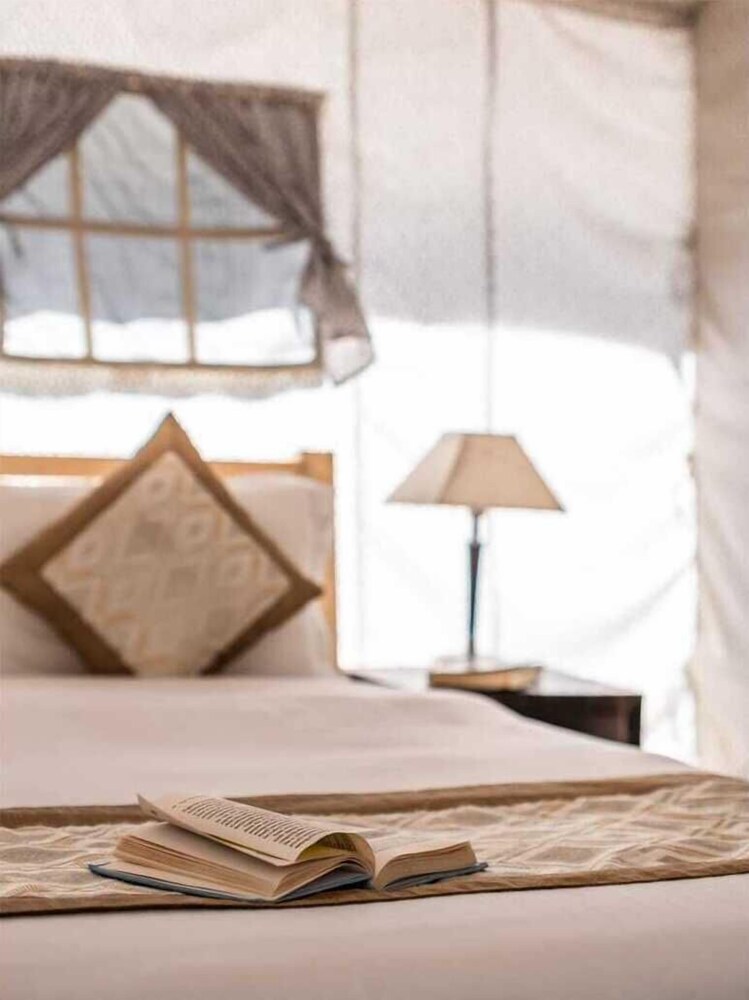 camp norling stars koyul