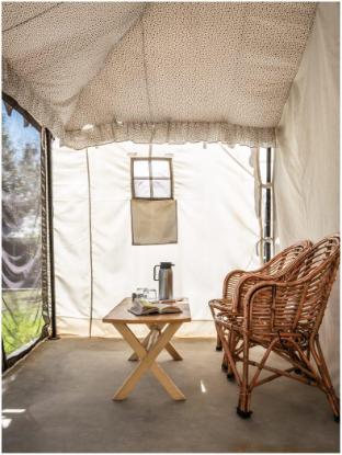 camp norling stars koyul