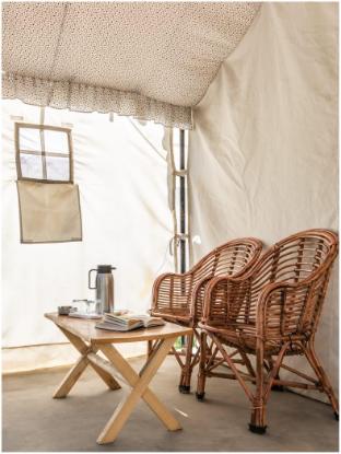 camp norling stars koyul