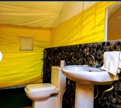 camp norling stars koyul