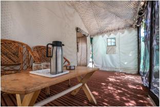 camp norling stars koyul