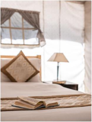 camp norling stars koyul