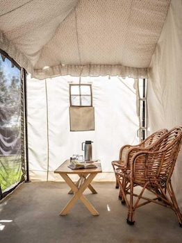 camp norling stars koyul