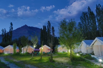 camp norling stars koyul