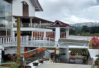 calla lily by the brook