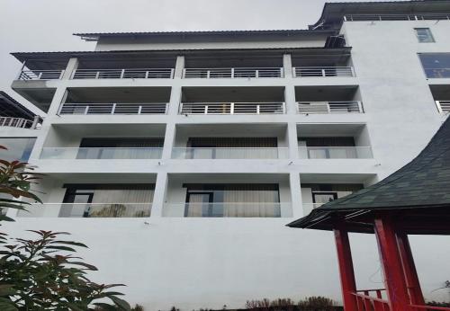 calla lily by the brook