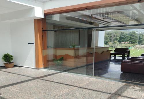 calla lily by the brook