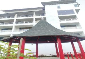 calla lily by the brook