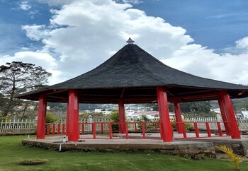 calla lily by the brook