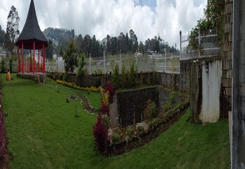 calla lily by the brook