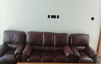 calla lily by the brook