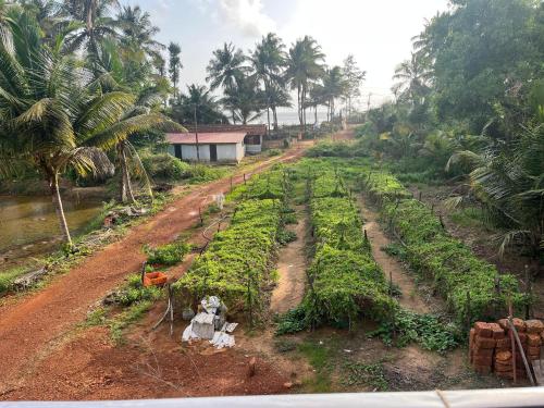 kumta