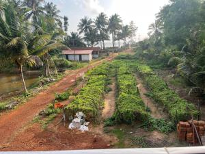 kumta