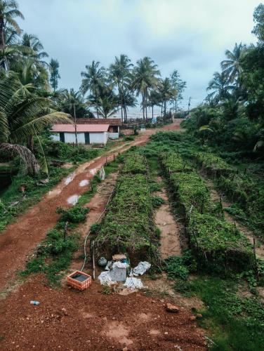 kumta