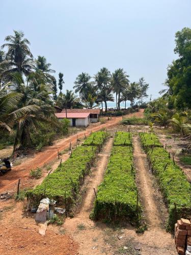 kumta