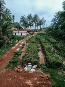 kumta