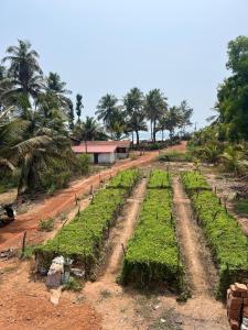 kumta