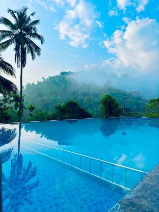 vaca vibes elements resorts