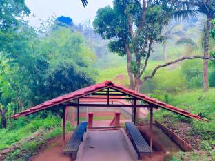 vaca vibes elements resorts