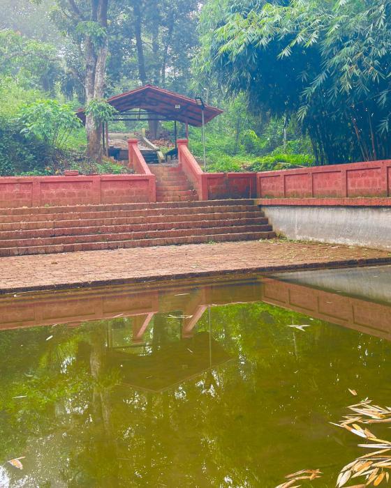 vaca vibes elements resorts