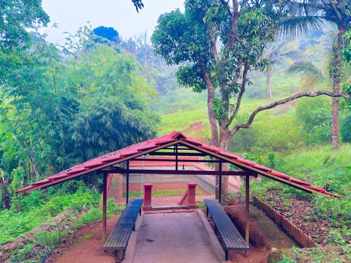 vaca vibes elements resorts