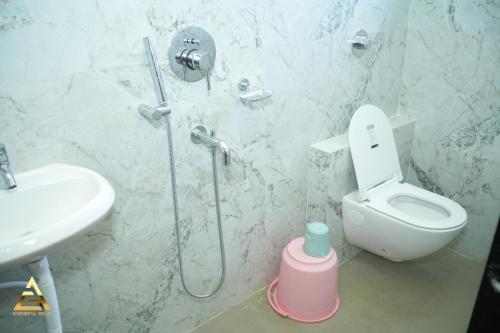 gurudeva dham akkalkot