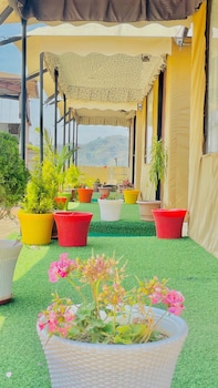 bambooz bel cottage and camps kasauli