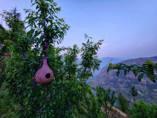 mountain a frame stay sainj