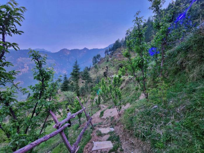 mountain a frame stay sainj