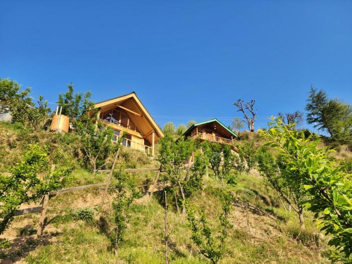 mountain a frame stay sainj