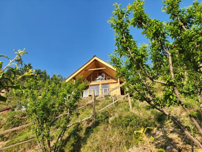 mountain a frame stay sainj