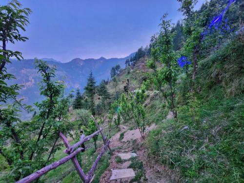 mountain a frame stay sainj