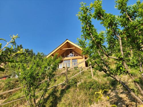 mountain a frame stay sainj