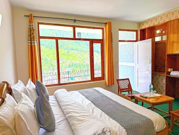 hotel the premium villa manali view