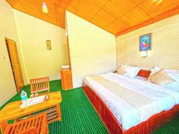 hotel the premium villa manali view