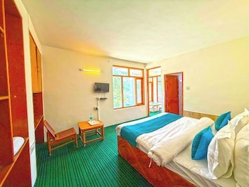 hotel the premium villa manali view