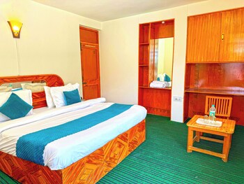 hotel the premium villa manali view