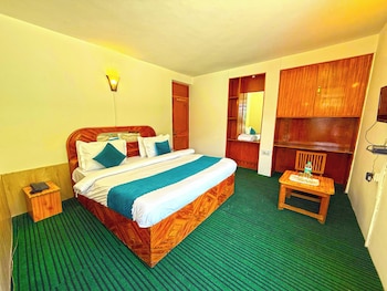 hotel the premium villa manali view