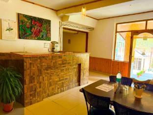 hotel the premium villa manali view