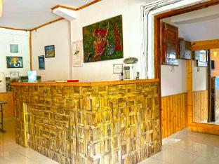 hotel the premium villa manali view