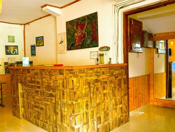 hotel the premium villa manali view
